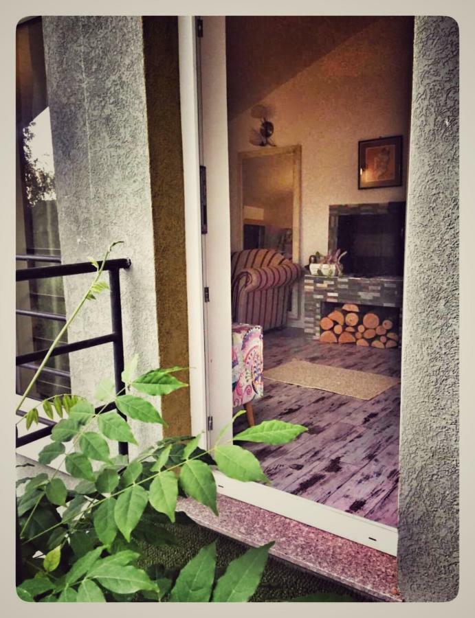 Eco Travel Apartment Suceava Ngoại thất bức ảnh